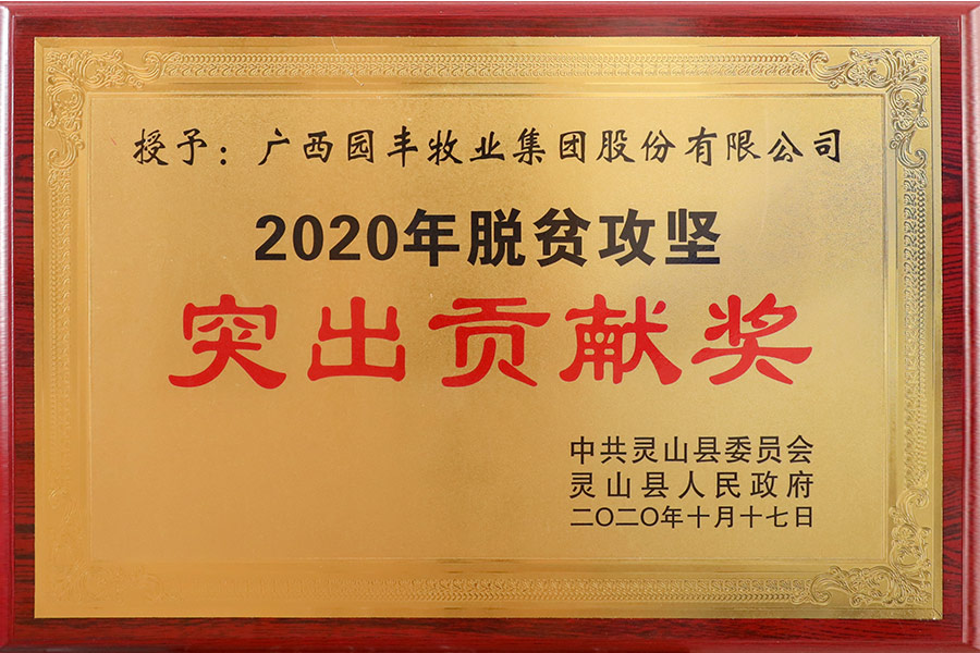 2020年10月17日 2020年脫貧攻堅突出貢獻(xiàn)獎
